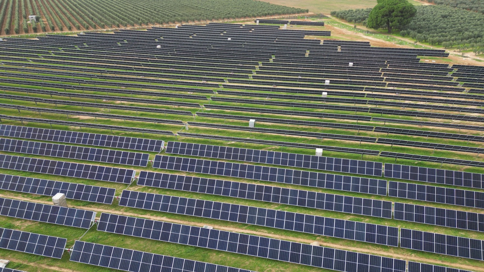 Vue aérienne des trackers solaires (© Axial Structural Solutions)