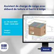 Assistant de charge de neige avec débord de toiture et barre à neige
