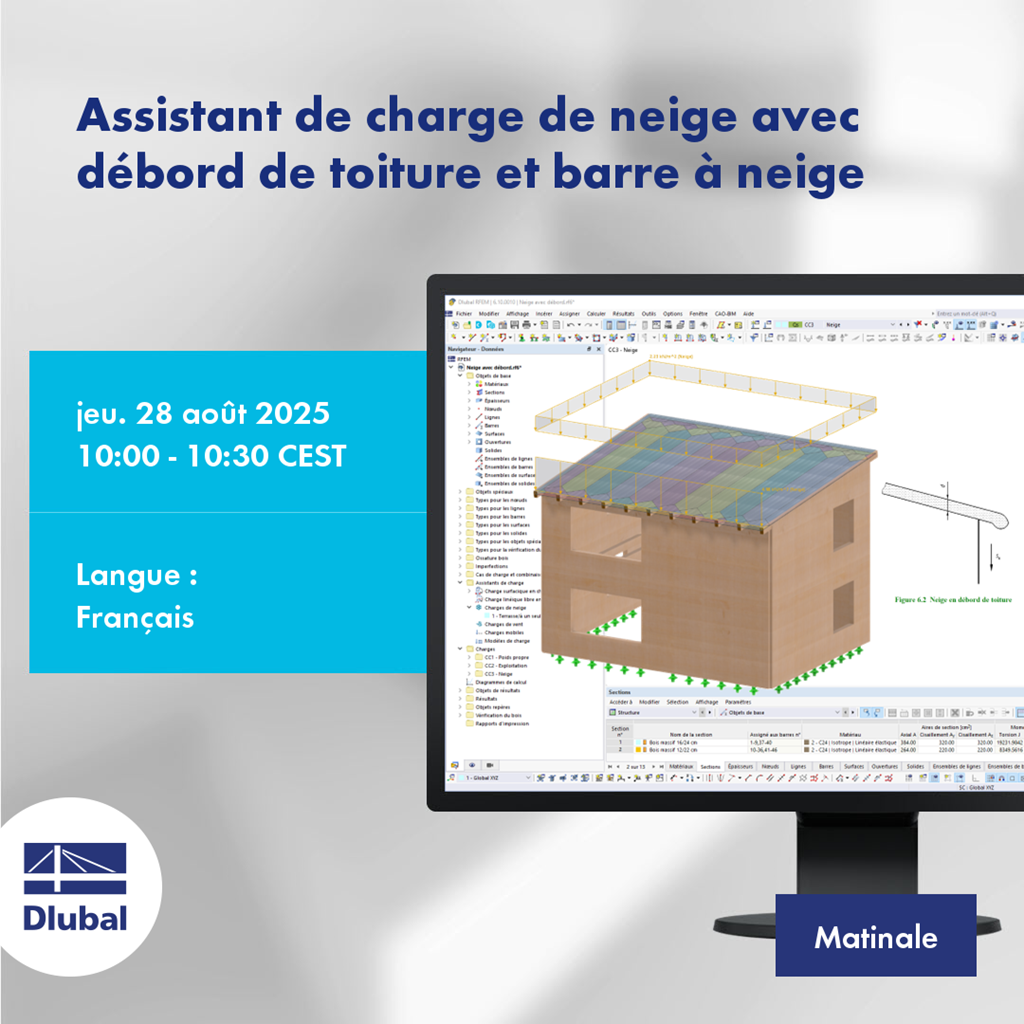 Assistant de charge de neige avec débord de toiture et barre à neige