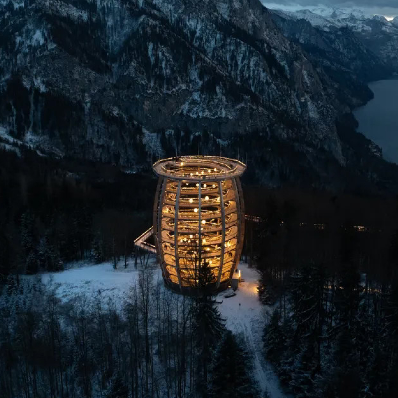 Tour en bois avec parcours au-dessus des arbres adjacents, entourée par la forêt luxuriante de Grünberg