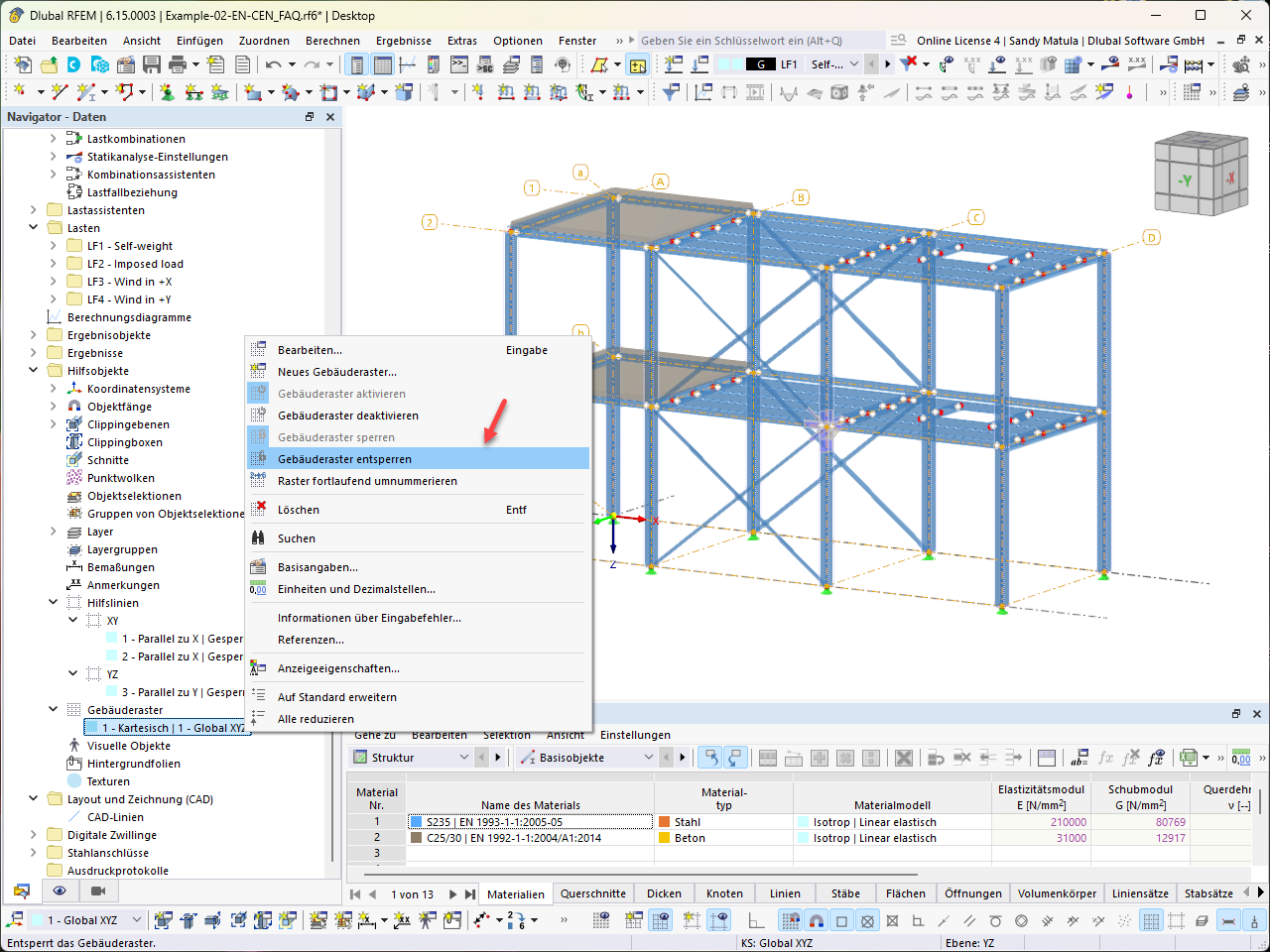 Vue avec grille de construction et lignes directrices, détail des fonctions du modèle dans RFEM.
