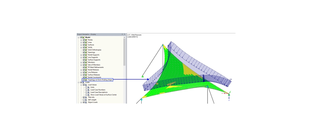 Aktivierte Darstellungsoption: Topologie auf der Formfindungsform