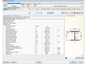 Stabilitätsnachweis inkl. Wölbkrafttorsion in RF-/STAHL AISC