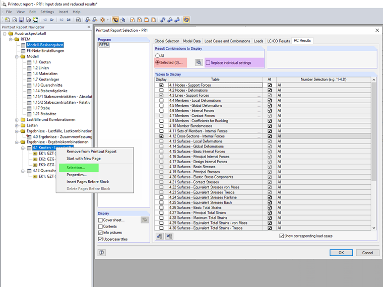 Individuelle Selektion im Ausdruckprotokoll