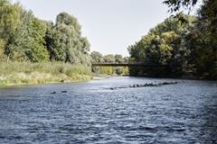 Integration der schlanken Brücke in die Natur (© Oliver Jaist)
