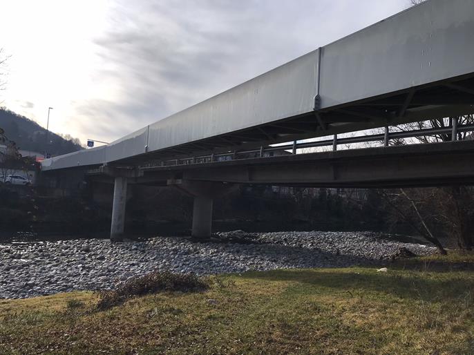 CP 001239 | #ng_question#