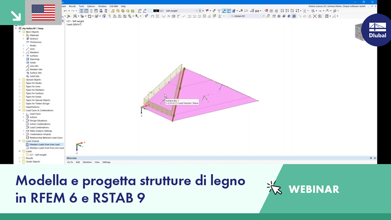 RFEM 6 and RSTAB 9 used for timber structure modeling webinar.
