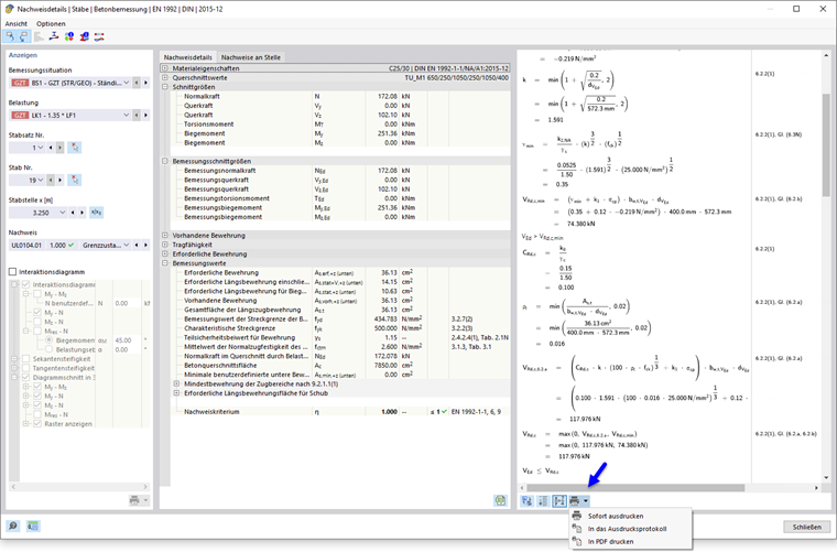Stampa dei dettagli della verifica