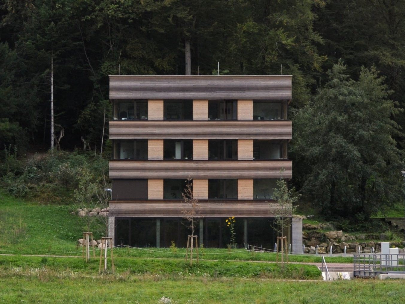 Vista frontale della Torre del Bosco a Friburgo, un semplice cubo di legno e vetro integrato nella natura