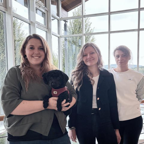 Collaboratore che lavora al computer in un moderno ufficio, sullo schermo sono visibili diagrammi con informazioni sul progetto.