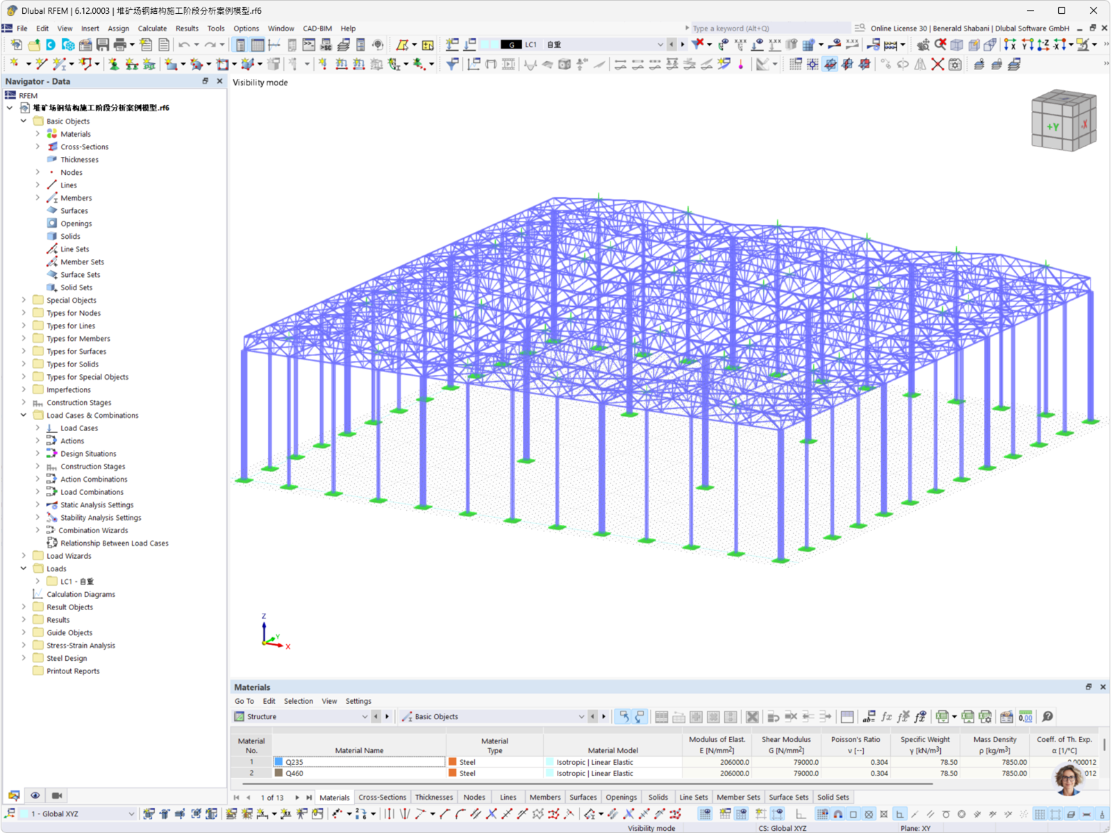 Modello al computer di un capannone in acciaio con travi reticolari, progettato in RFEM per applicazioni ingegneristiche.