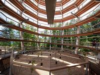 Transizione tra il sentiero sopraelevato e la piattaforma panoramica immerso nella fitta natura boschiva