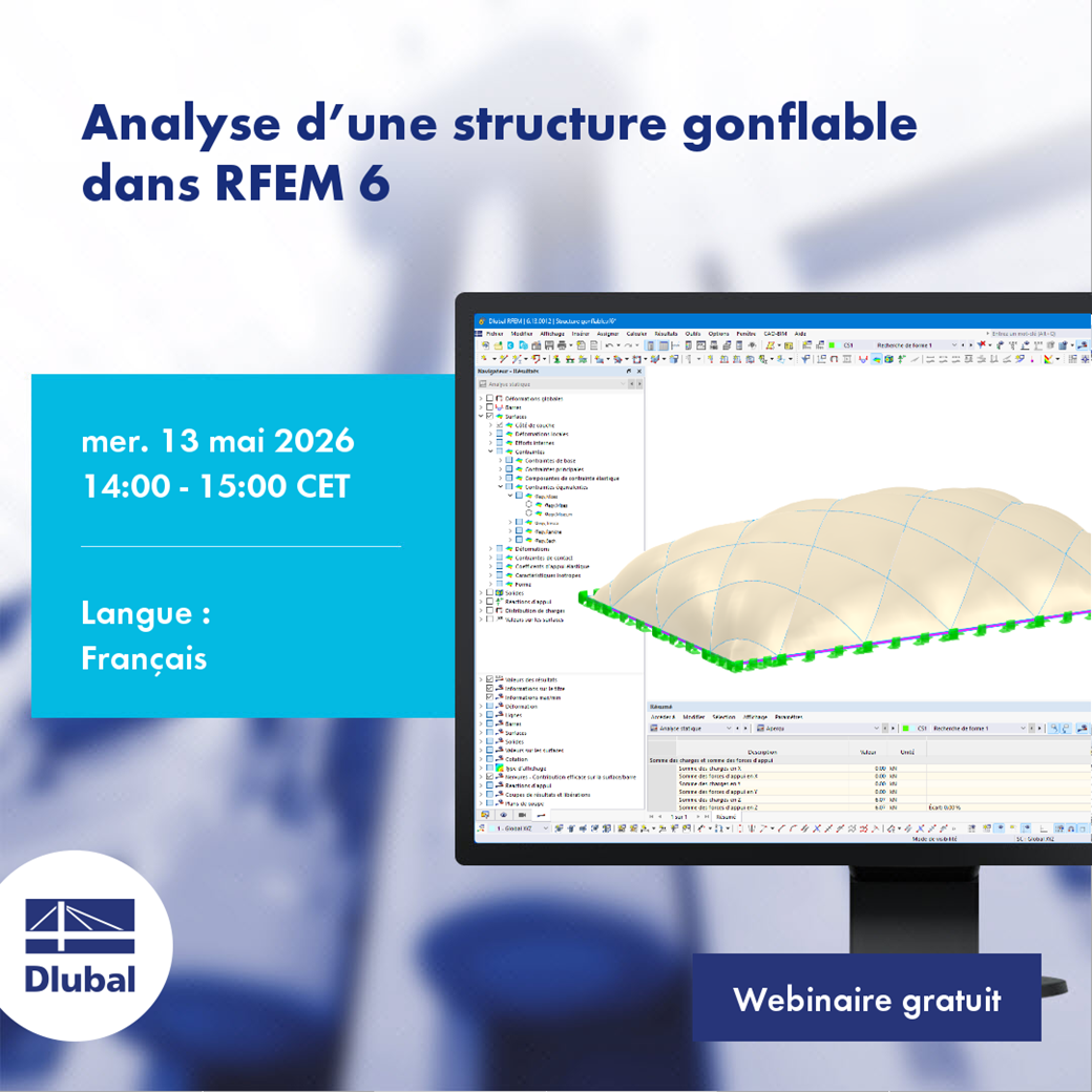 Analisi di una struttura gonfiabile in RFEM 6