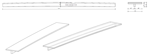 Modellierung einer über Schraubenpressklebung vorgekrümmten Brettsperrholzplatte 1
