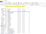 Plik AUTHORE.INI w folderze C:\ProgramData\Dlubal\Global\General Data