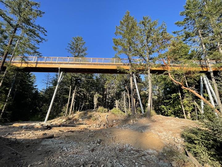 Chodnik Malahat SkyWalk (© Aspect Structural Engineers)