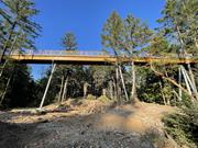 Chodnik Malahat SkyWalk (© Aspect Structural Engineers)