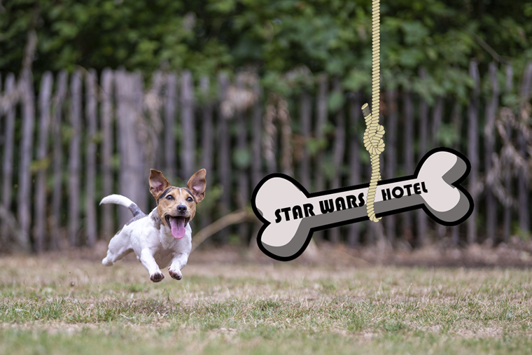 Reakcja na zapowiedź hotelu Star Wars była więcej niż wyraźna.