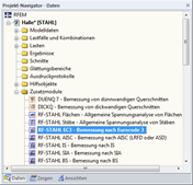 Nawigator Dane dla dodatkowego modułu RF-STEEL EC3 z uporządkowanym widokiem rozszerzenia.