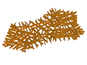 Zbliżenie imponującej drewnianej konstrukcji dachu nowoczesnej stacji benzynowej