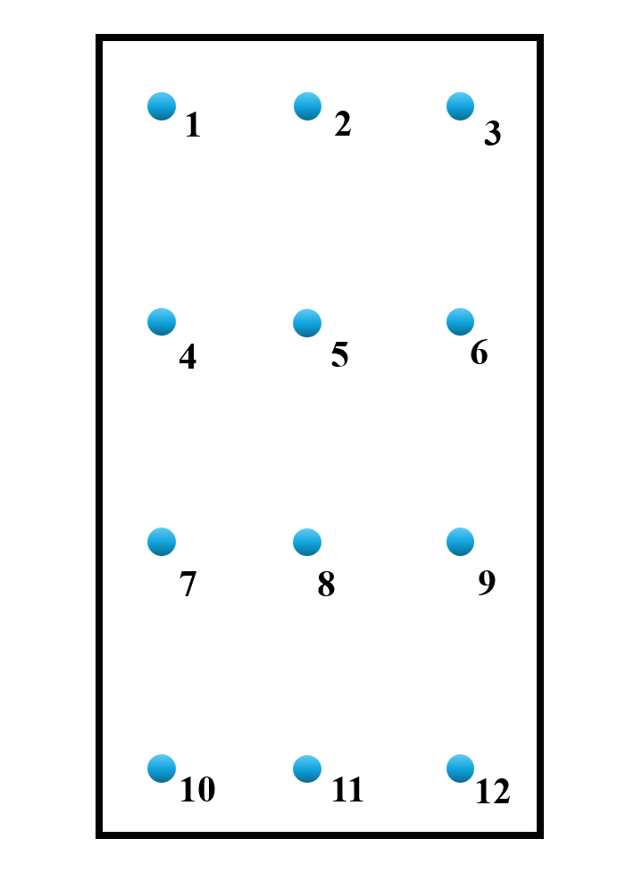 12 punktów pomiarowych