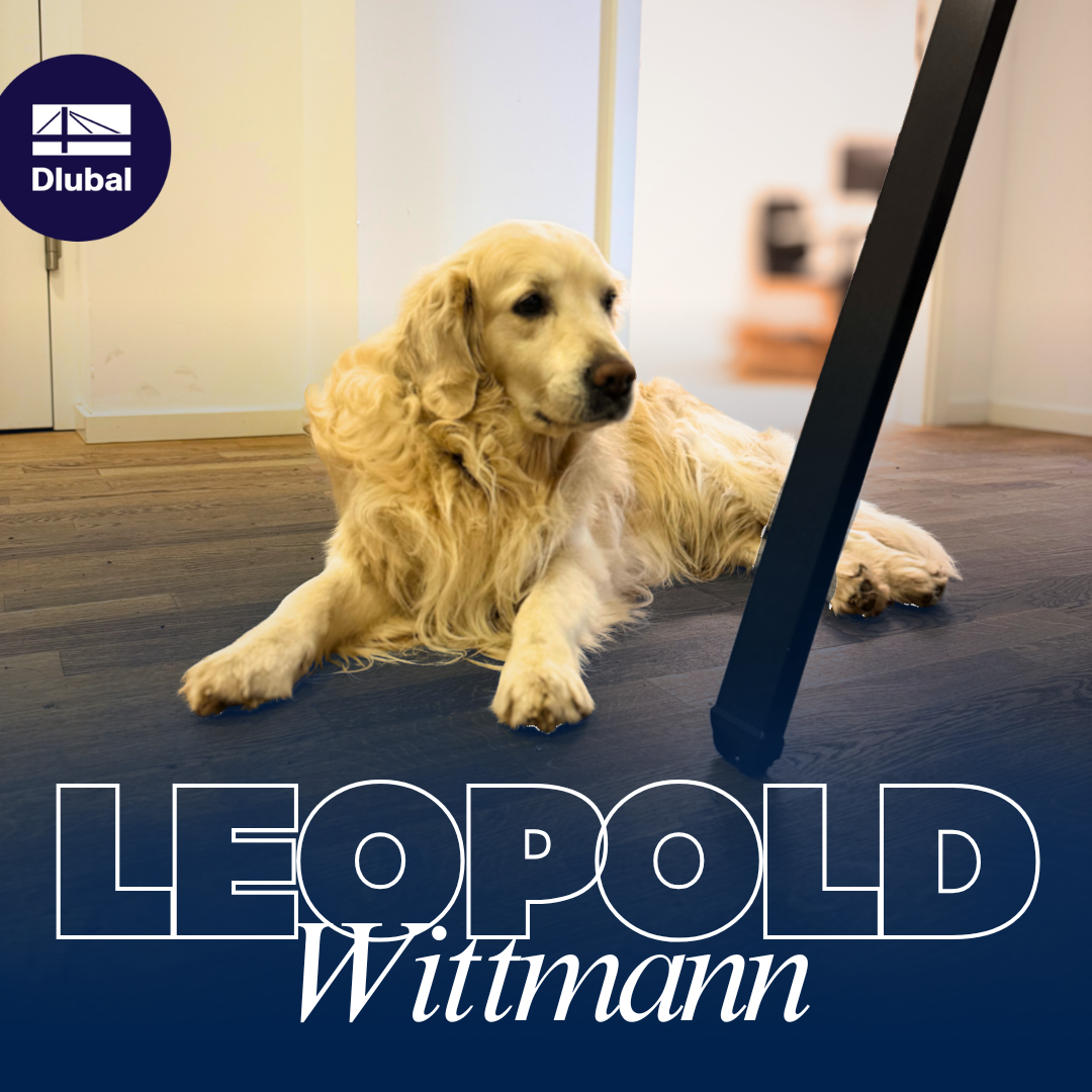 Golden Retriever Leopold Wittmann leży na drewnianej podłodze w biurze Dlubal, spokojnie obserwując przestrzeń roboczą.