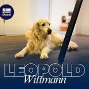 Golden Retriever Leopold Wittmann leży na drewnianej podłodze w biurze Dlubal, spokojnie obserwując przestrzeń roboczą.