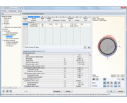 Dehnungen und Spannungen