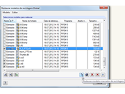 Wiederherstellen aus dem Dlubal-Papierkorb