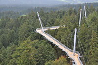 Estrutura com pontes suspensas do caminho (© skywalk allgäu)