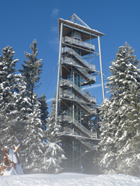 Torre de observação (© skywalk allgäu)