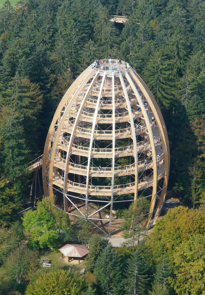 Torre de floresta vista do ar (© WIEHAG)