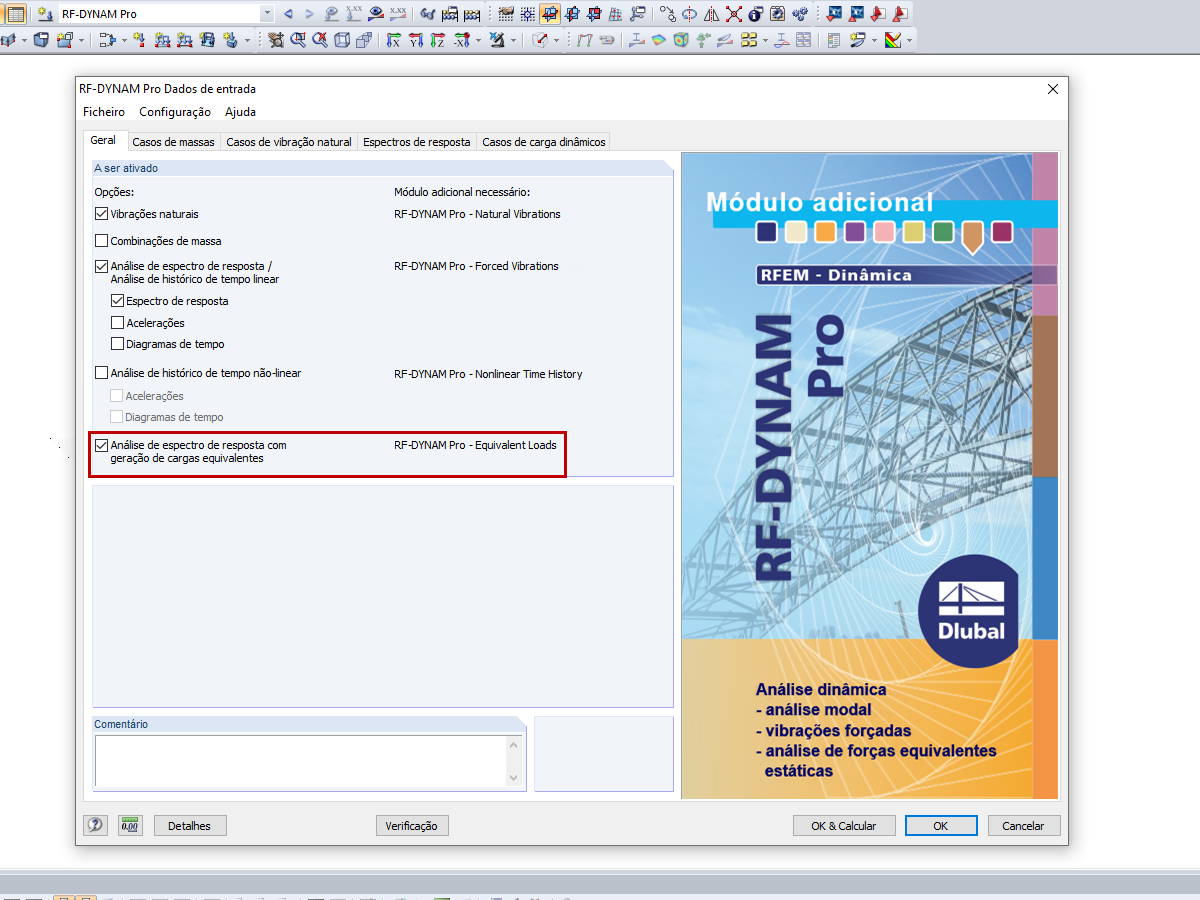 Descrição do módulo adicional dentro do módulo RF-DYNAM Pro