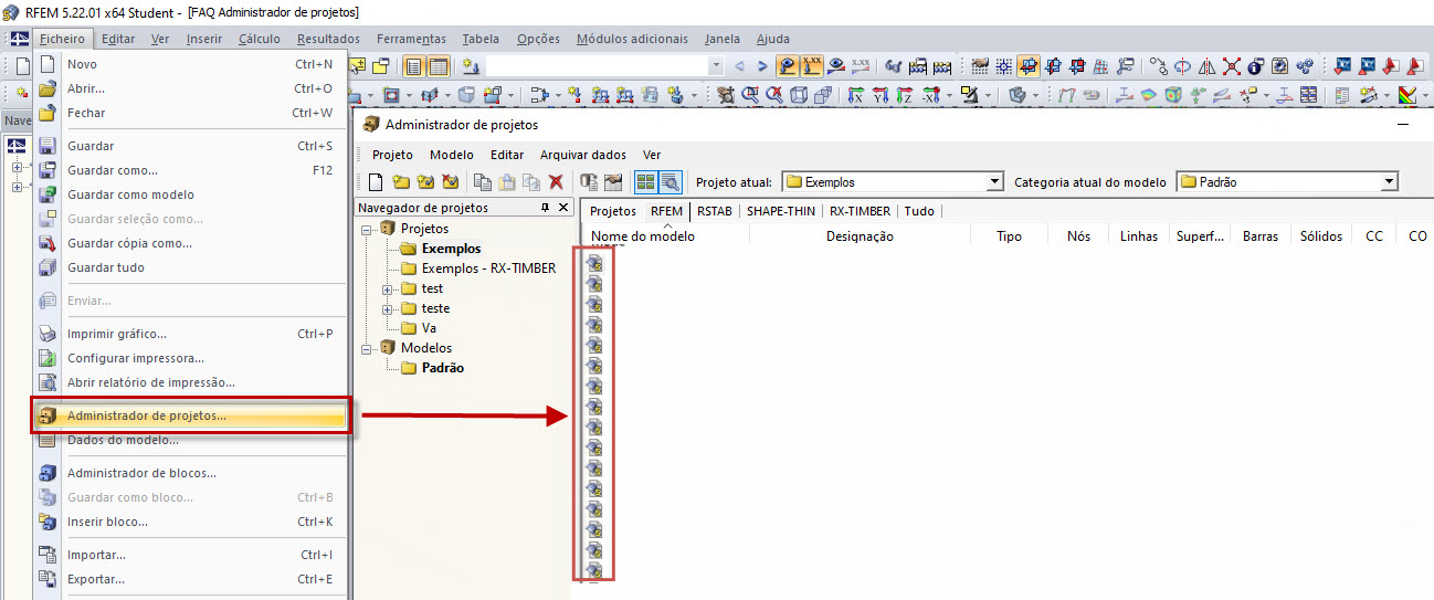 Administrador de projetos