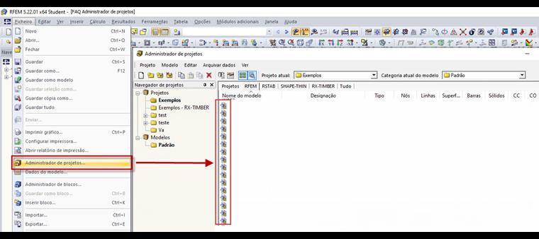 Administrador de projetos