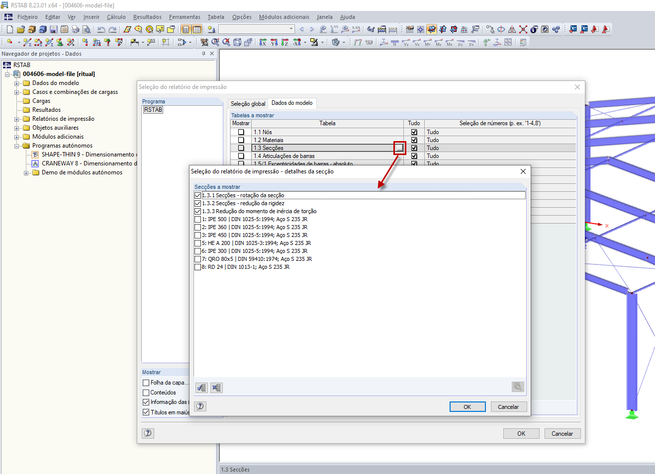 Seleção do relatório de impressão – detalhes da secção