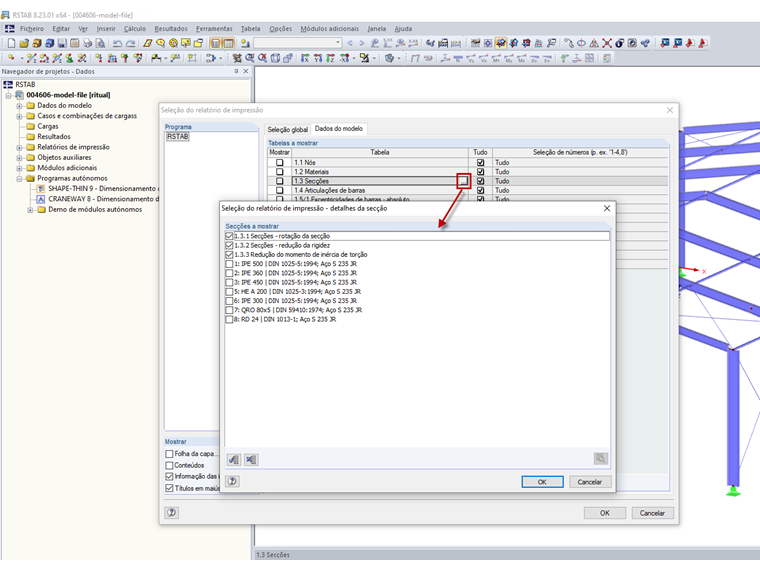 Seleção do relatório de impressão – detalhes da secção
