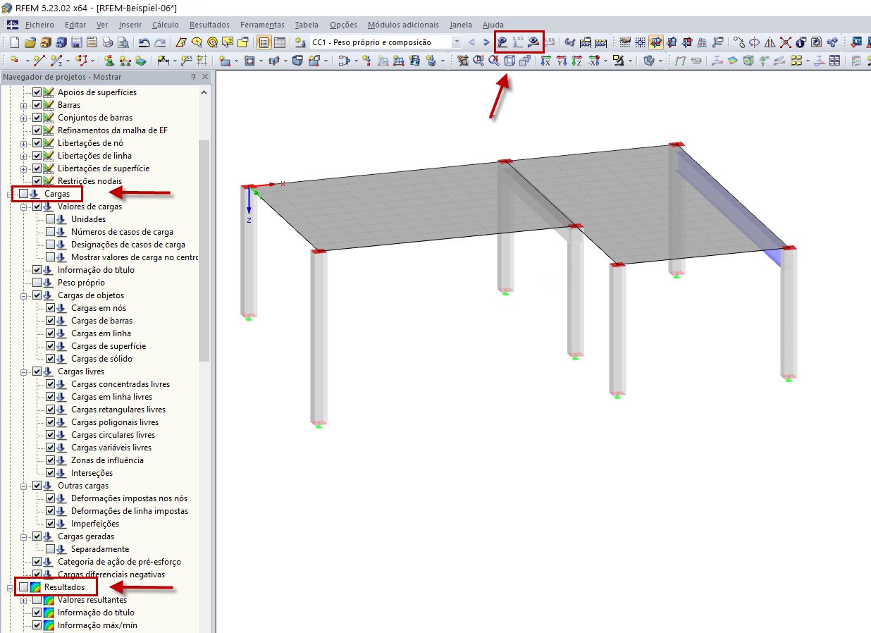 Ocultar cargas e resultados