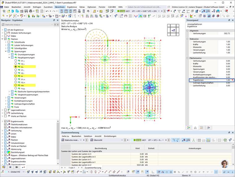 FAQ 005606 | Como é que posso apresentar os resultados das tensões principais com as respetivas direções como trajetórias no RFEM 6?