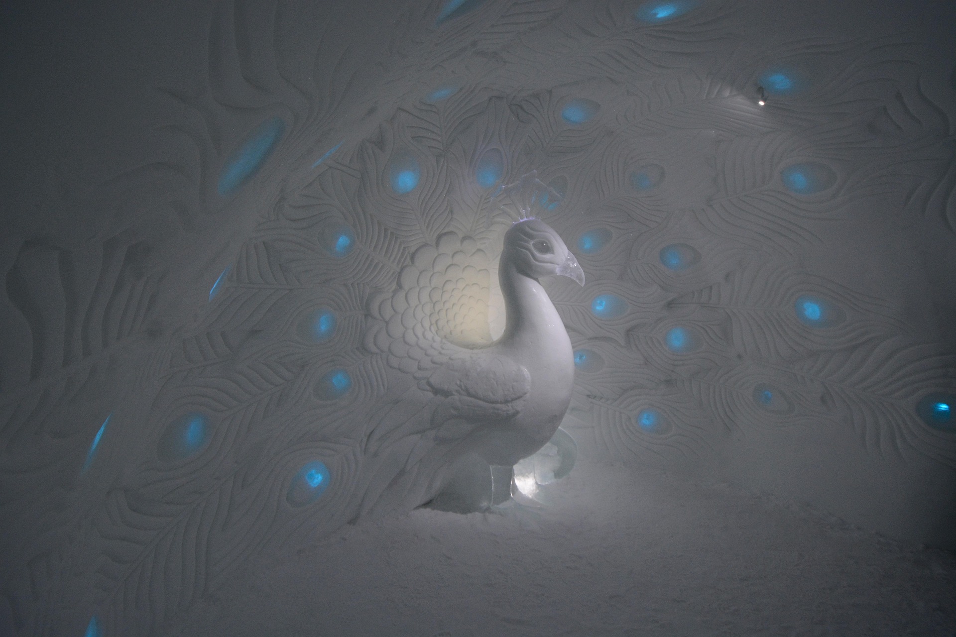 Um impressionante pavão de gelo no Icehotel, Suécia, num quarto de hotel artisticamente desenhado.