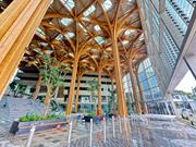 A Sprint Canopy em Singapura, dimensionada pela Ergodomus, tem uma altura de 27 metros e uma área de 3000 m², sendo a cobertura de madeira maciça mais alta da ilha.