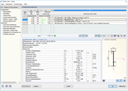 Virtual Joist-Bemessung in RF-/STAHL AISC