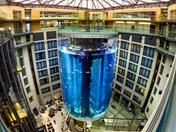 Цунами в Берлине: трагический случай с Aquadom