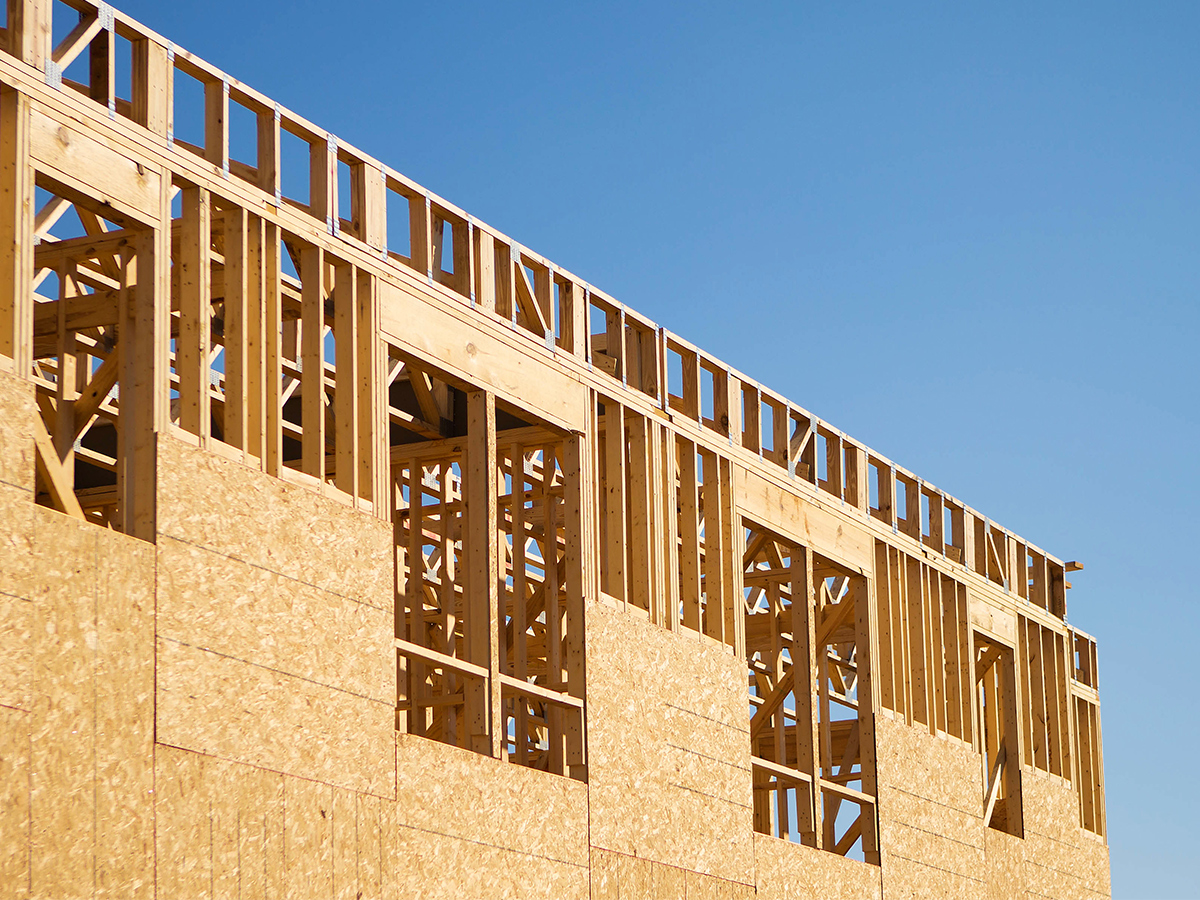 层压板、夹心板、正交胶合木(CLT)