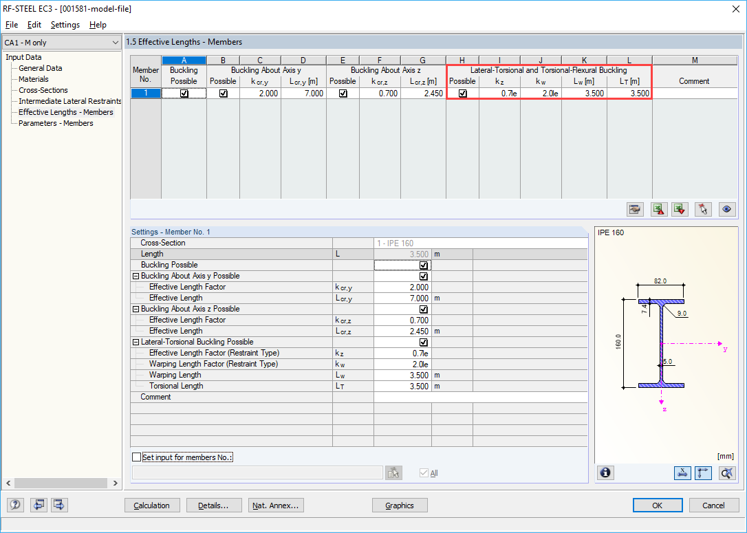 Input Window of RF-/STEEL EC3