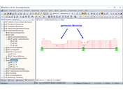 刚度分布Iym ∙E