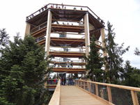 木结构树屋与树顶步道（©WIEHAG）