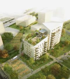 东南视角 (© Ingénierie Bois)