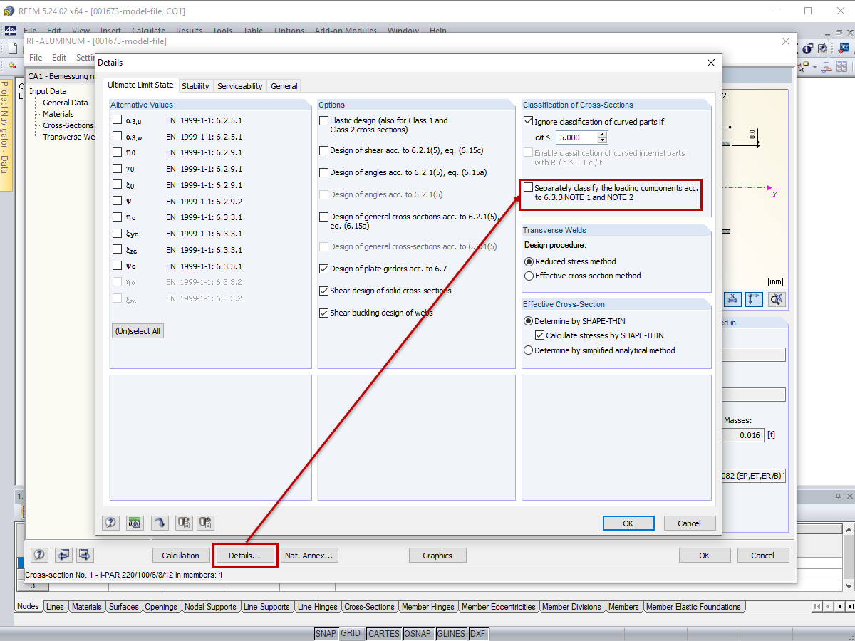 详细信息对话框，最终极限状态选项卡
