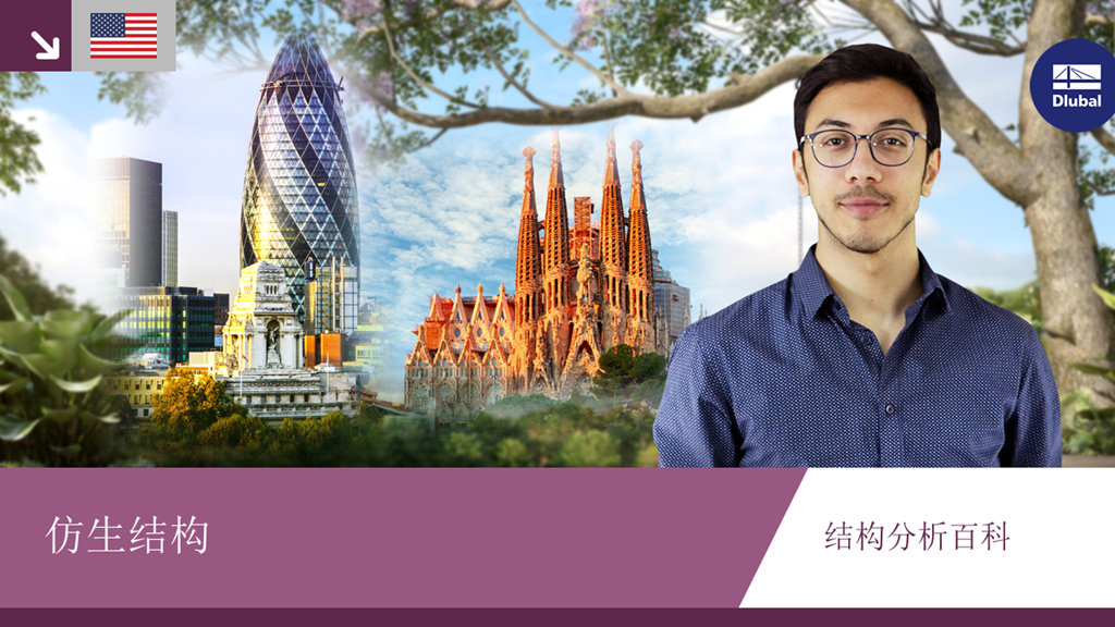 这种支承结构受仿生学启发，通过创新形式实现高效荷载分布。其结构设计实现了高度优化。